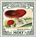 Russula emetica