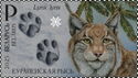 Eurasian lynx (Lynx lynx)