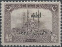 Mosque of Selim, Edirne, With Overprint