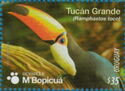 Toco Toucan (Ramphastos toco)