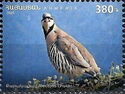 Chukar Partridge (Alectoris chukar)