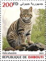 Wildcat (Felis silvestris)