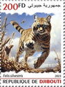 Wildcat (Felis silvestris)