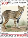 African wildcat (Felis lybica)
