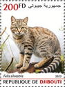 Wildcat (Felis silvestris)