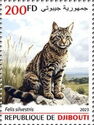 Wildcat (Felis silvestris)