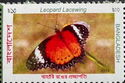 Leopard Lacewing (Cethosia cyane)