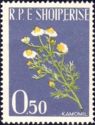 Chamomile (Matricaria chamomilla)