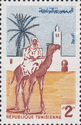 Dromedary (Camelus dromedarius), with Rider