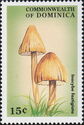 Inocybe Fastigiata