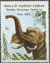 Asian Elephant (Elephas maximus) with raised trunk