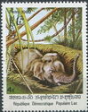 Asian Elephant (Elephas maximus) in trap