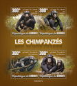 Chimpanzees