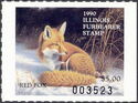 Red fox (Vulpes vulpes)