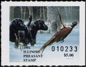 Labrador Retreivers, Pheasant