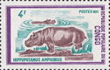 Common Hippopotamus (Hippopotamus amphibius)