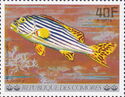 Oriental Sweetlips (Plectorhinchus vittatus)