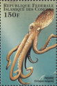 Common Octopus (Octopus vulgaris)