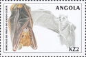 Angola Soft-furred Fruit Bat (Lissonycteris angolensis)