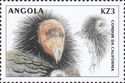 California Condor (Gymnogyps californianus)