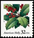American Holly