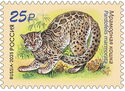 Marbled Cat (Pardofelis marmorata)