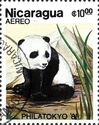 Giant Panda (Ailuropoda melanoleuca)