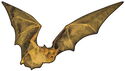 100 Francs (Wildlife in Golden Shapes - Bat)