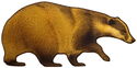 100 Francs (Wildlife in Golden Shapes - Badger)