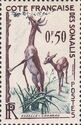 Gerenuk (Litocranius walleri)