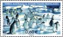 Adelie Penguins
