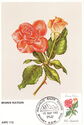Australian Roses - Minnie Watson