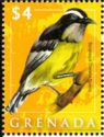 Bananaquit (Coereba flaveola)