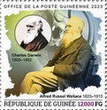 Alfred Russel Wallace (1823-1913) Charles Darwin (1809-1882)