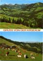 GRUSS VON DER KÄSEALM
