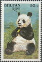 Giant Panda (Ailuropoda melanoleuca)