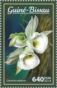 Catasetum pileatum