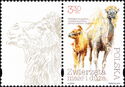 Bactrian Camel (Camelus bactrianus) - Label 1 Left