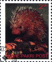 Porcupine