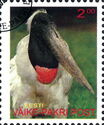 Jabiru