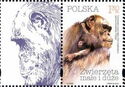 Chimpanzee (Pan troglodytes) - Label 3 Left