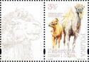 Bactrian Camel (Camelus bactrianus) - Label 2 Left
