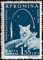 Dog, Rabbit, Globe, Rocket with Orbit