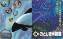 Commerson's Dolphin / ☎0767(84)1271