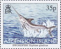 Swordfish (Xiphias gladius)