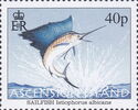 Sailfish (Istiophorus albicans)