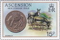 Two Pence, Domestic Ass (Equus asinus asinus)