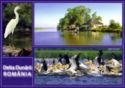 The Danube Delta