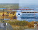 Kazakhstan, Chair International Fund for Saving the Aral Sea