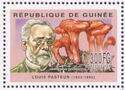 Louis Pasteur and Mushrooms